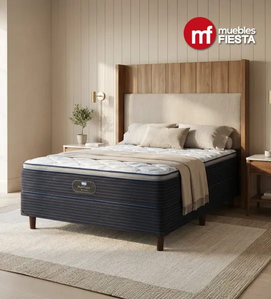 BackGuard Pillow Top